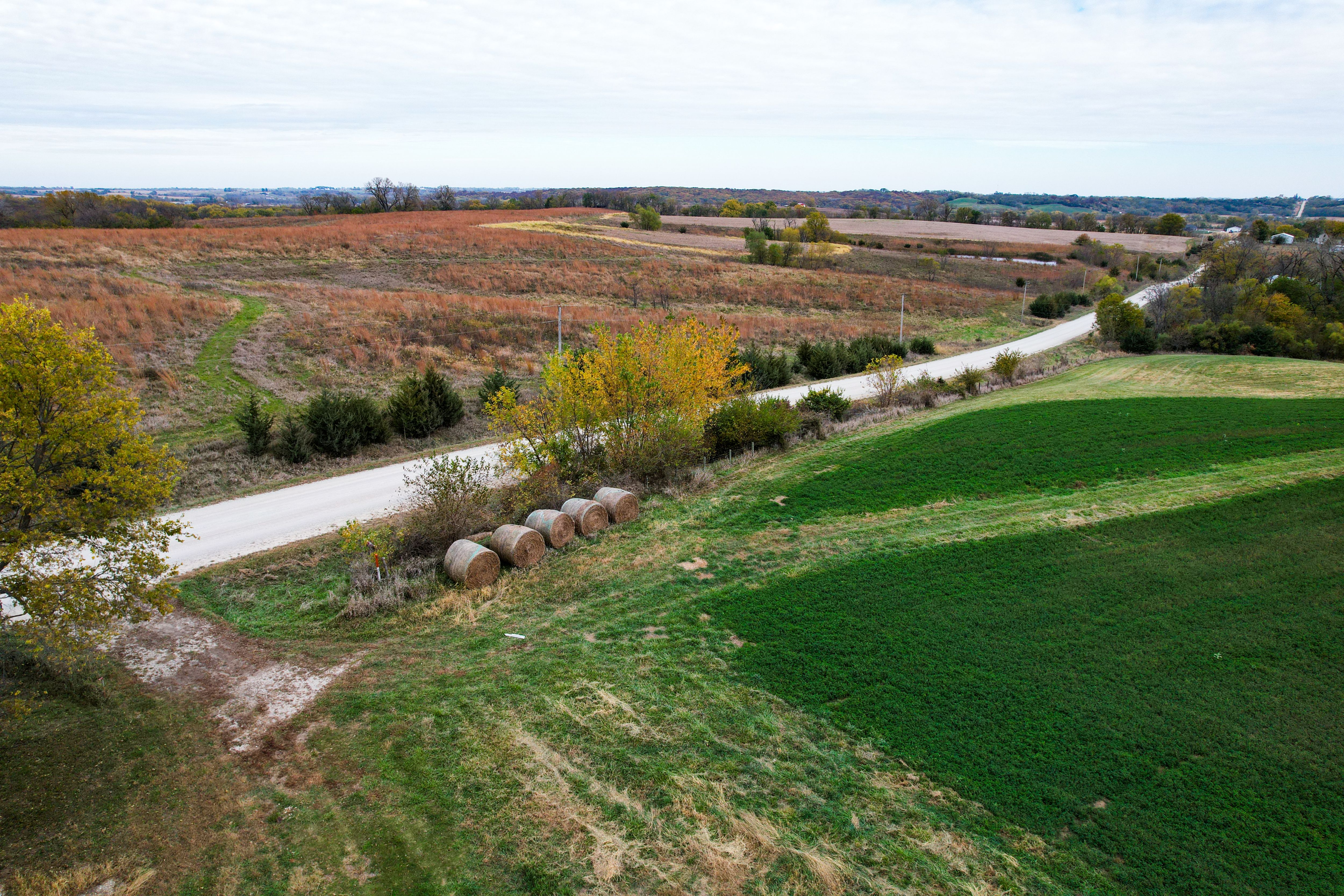 Listing Photo: Photo Oct 27 2025, 2 05 00 PM